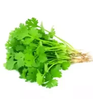 coriander-leaves-dhonia-pata-10-gm-100-gm