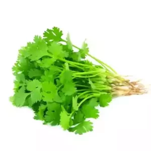 coriander-leaves-dhonia-pata-10-gm-100-gm