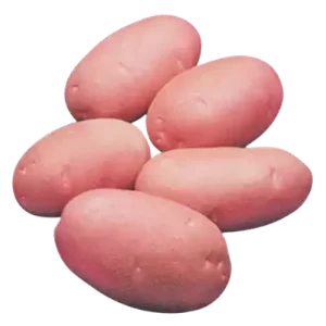 lal-alu-red-potato-cardinal-50-gm-1-kg