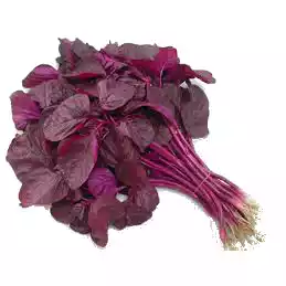 lal-shak-red-spinach-1-bundle