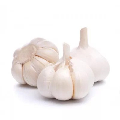 oshun-garlic-imported-25-gm-500-gm